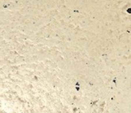 Patina Stone II Color: Yellow